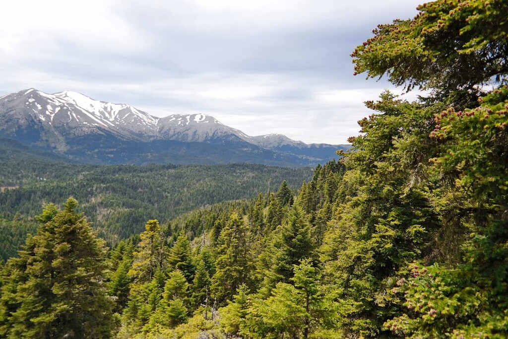 South Pindos, Mount Oeta National Park, Greece