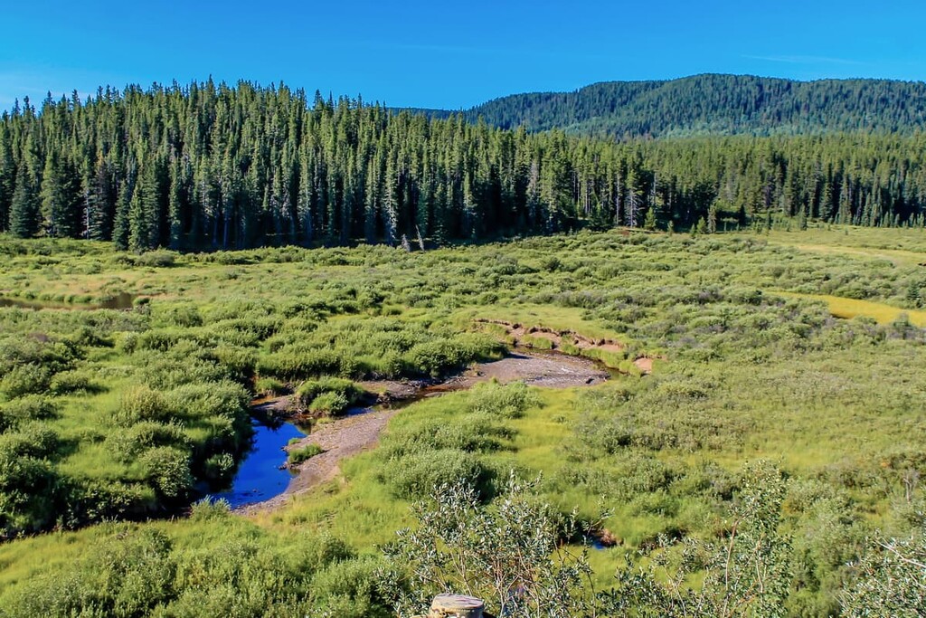 Black Creek Heritage, Municipal District of Ranchland, Alberta