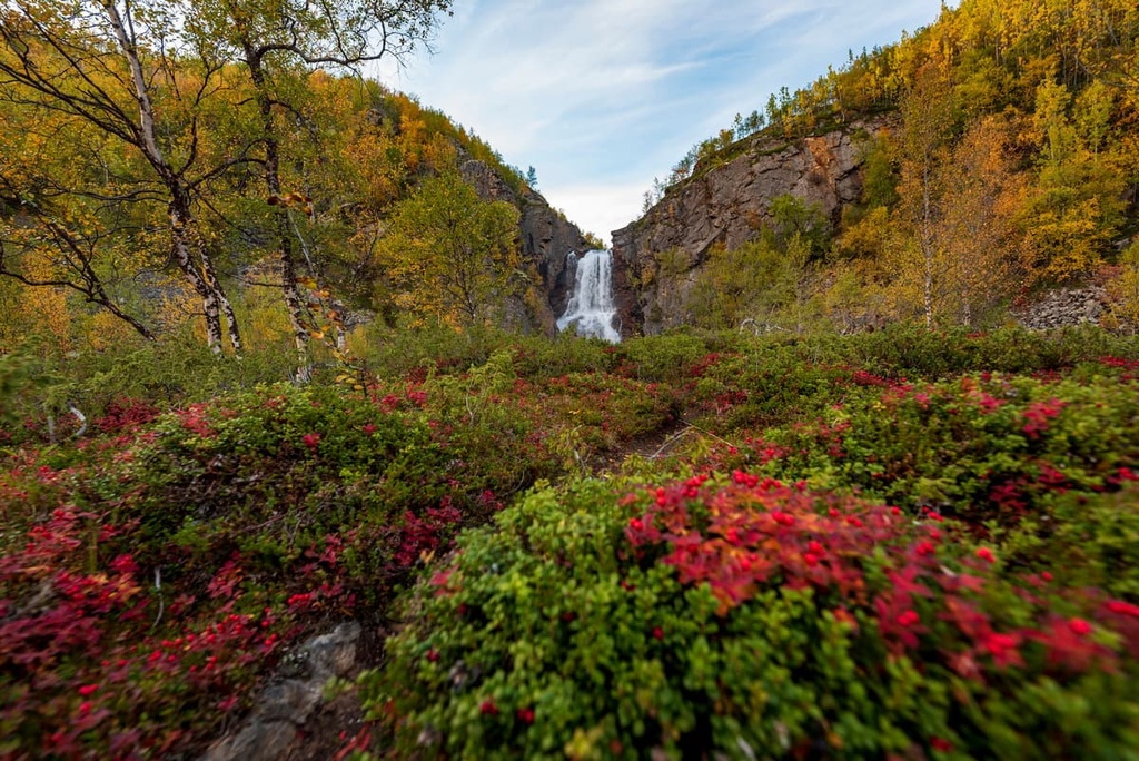 Muotkatunturi Wilderness Area, Finland