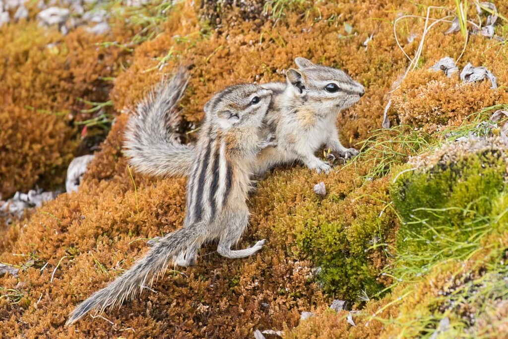 Nahanni National Park Reserve, Canada