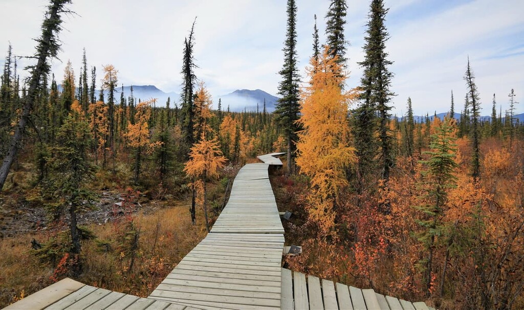 hiking trail, Nahanni National Park Reserve, Canada
