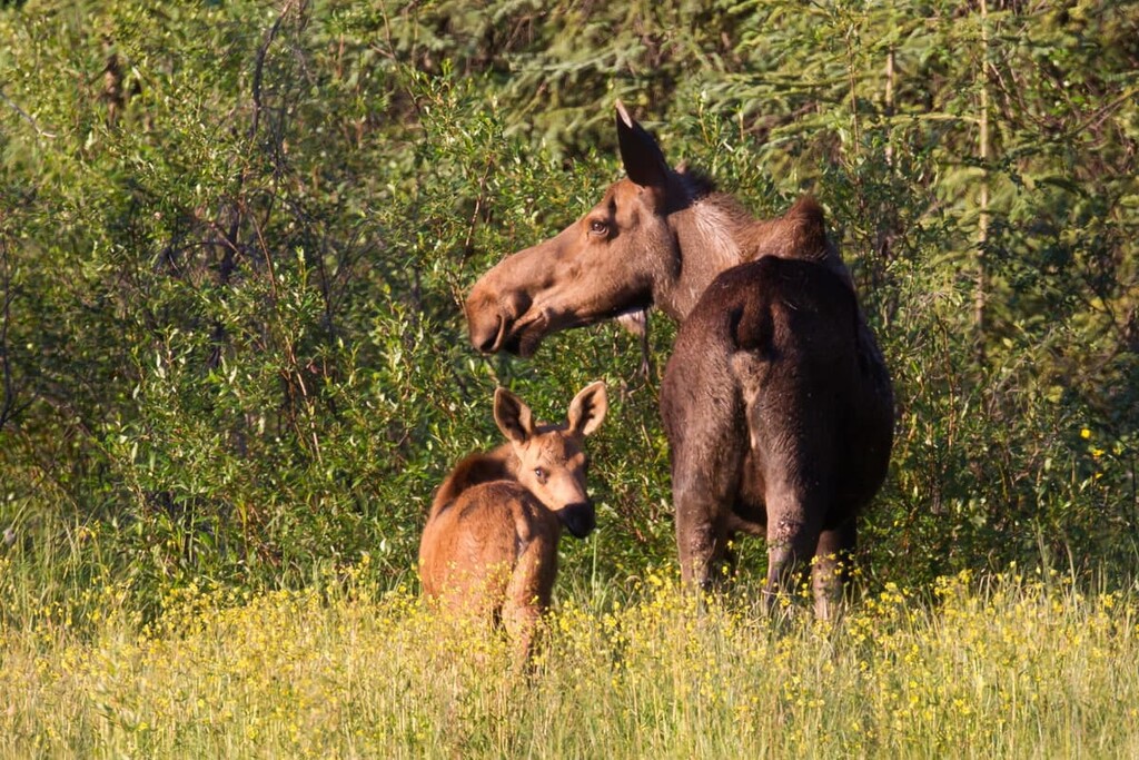 Nahanni National Park Reserve, Canada