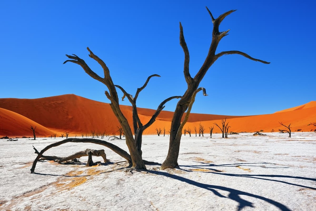 Namib-Naukluft National Park, Namibia