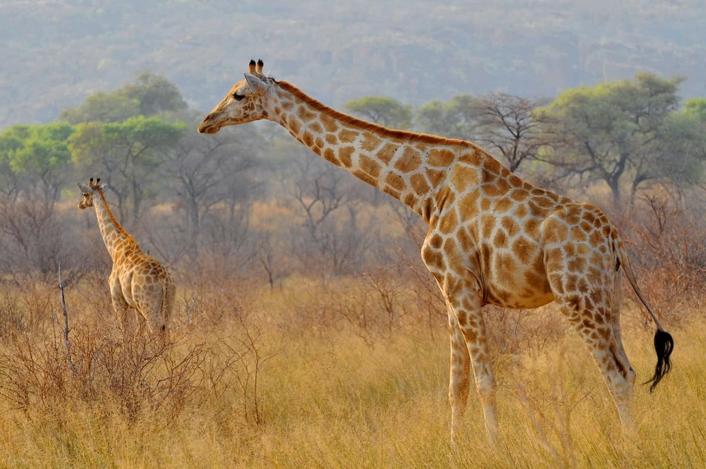 Waterberg Plateau Park, Namibia