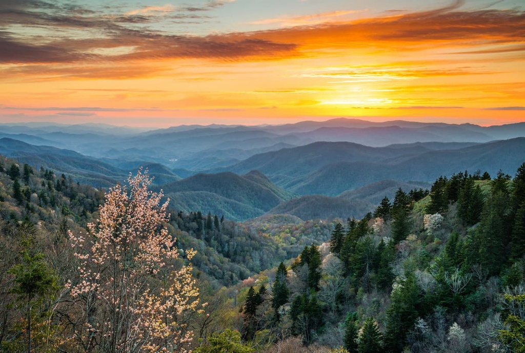 Nantahala National Forest (Nantahala Ranger District)