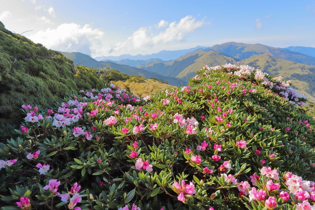 Hehuanshan Peaks, Nantou County, Taiwan