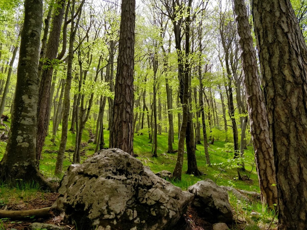 National Park Paklenica, Croatia