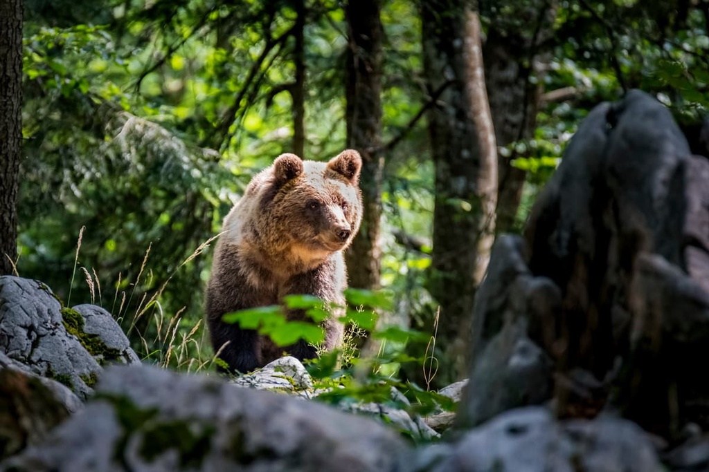 Nature Park Žumberak - Samoborsko Gorje, Croatia