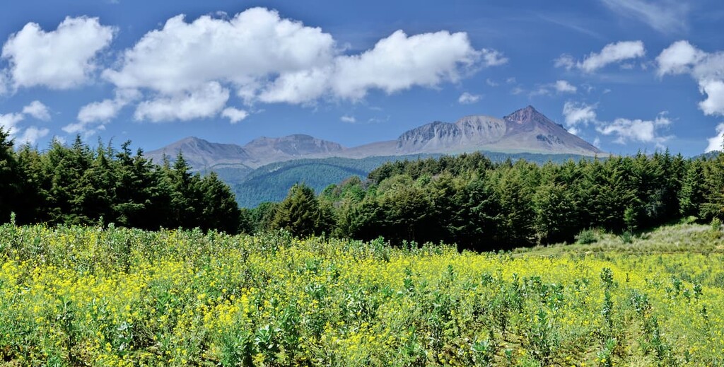 Parque Nacional Nevado de Toluca, Mexico
