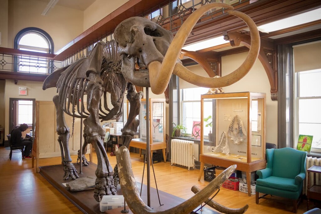 Rutgers Geology Museum, New Brunswick, Canada