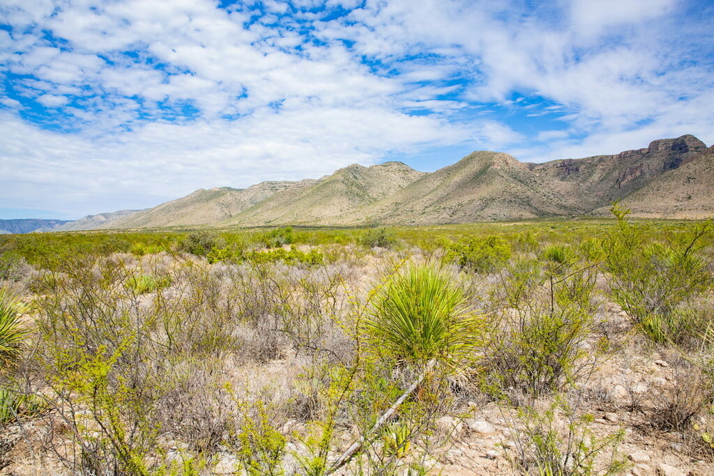 Carlsbad Caverns National Park, New Mexico, US