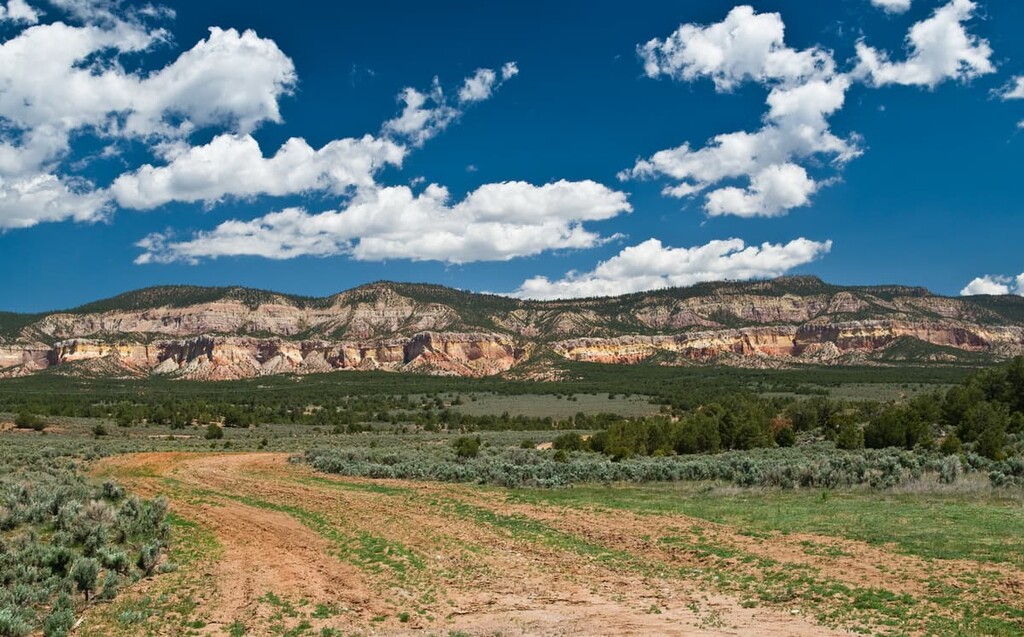 Carson National Forest, New Mexico, US