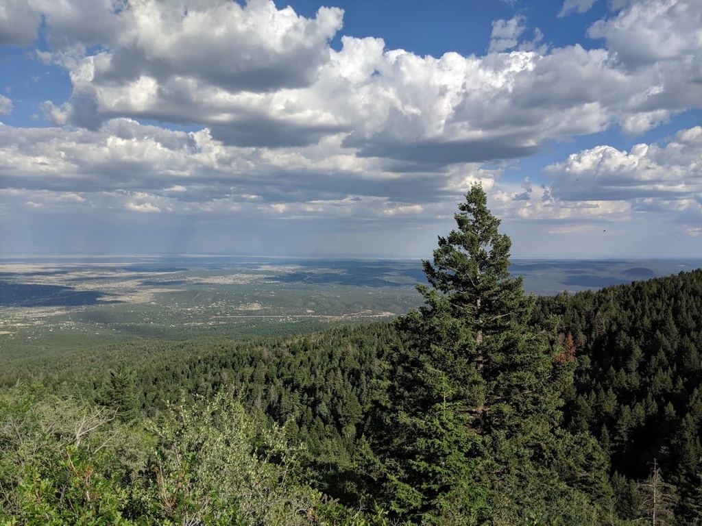 Cibola National Forest – Sandia Ranger District (North)