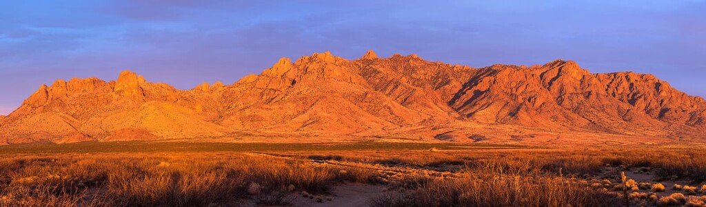 Chihuahuan Deserts, New Mexico, US