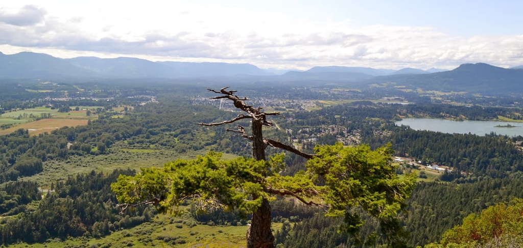 North Cowichan Municipal Forest Reserve , British Columbia