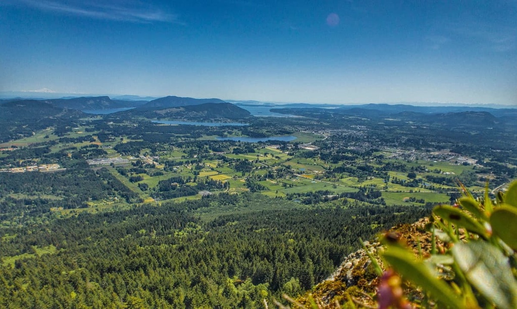 North Cowichan Municipal Forest Reserve , British Columbia