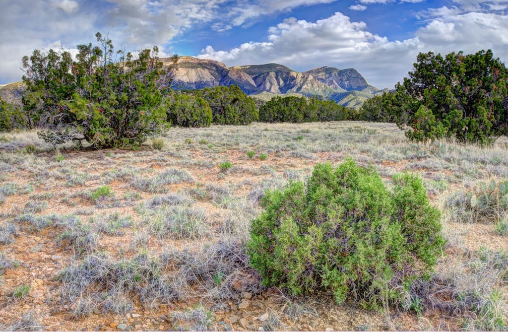 North Magdalena Ranger District, New Mexico