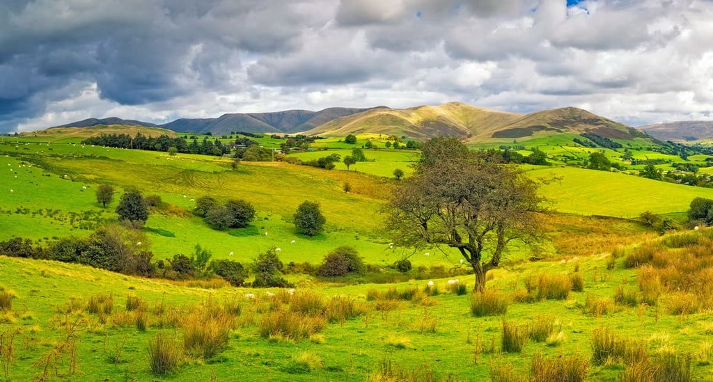 fields, North Pennines Area, England