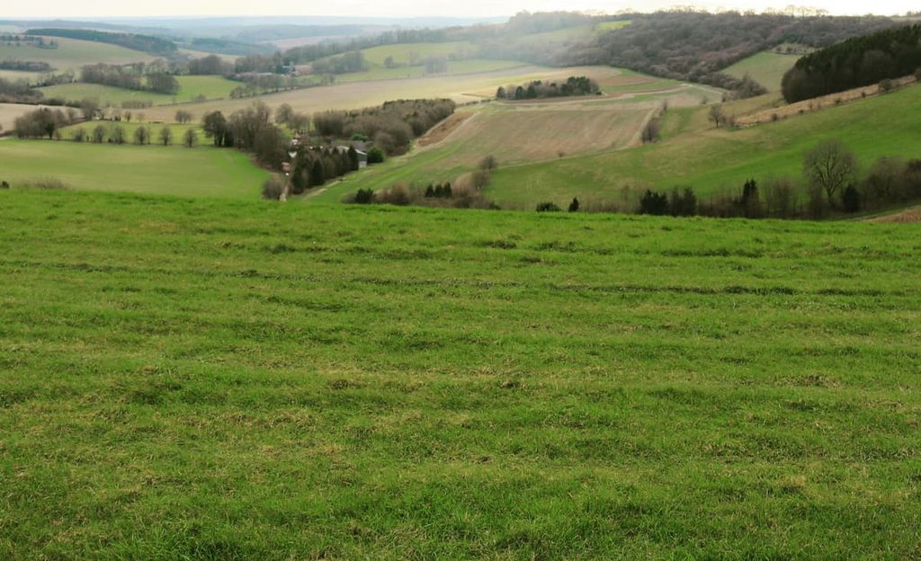 Walbury Hill, North Wessex Downs Area of Outstanding Natural Beauty, England