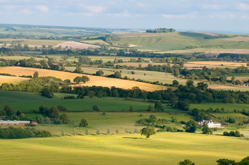 North Wessex Downs Area of Outstanding Natural Beauty, England
