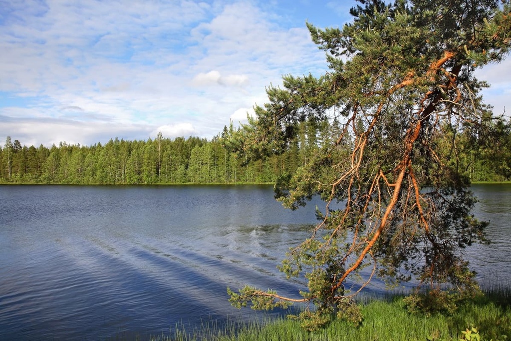 Tahkovuori, Northern Savonia, Finland