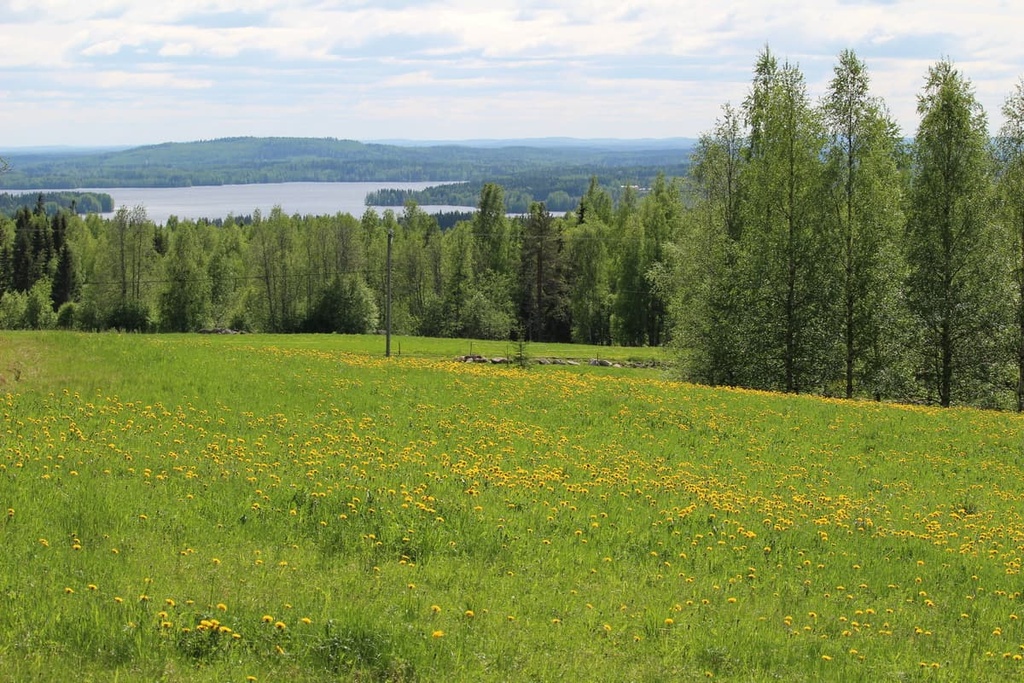 Väisälänmäki Village, Northern Savonia, Finland
