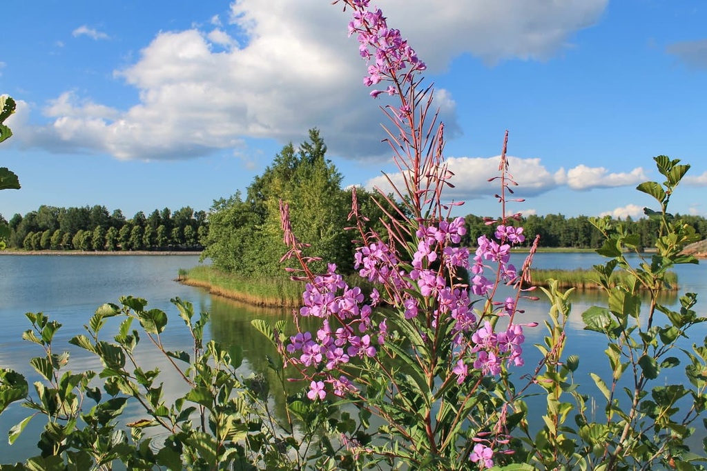 Northern Savonia, Finland