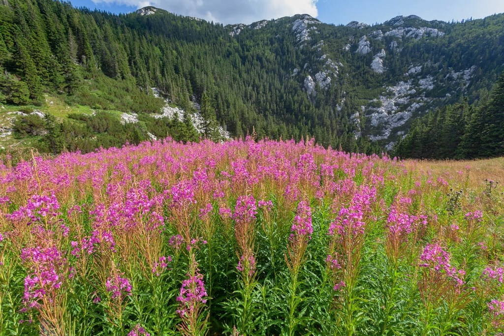  Northern Velebit National Park, Croatia