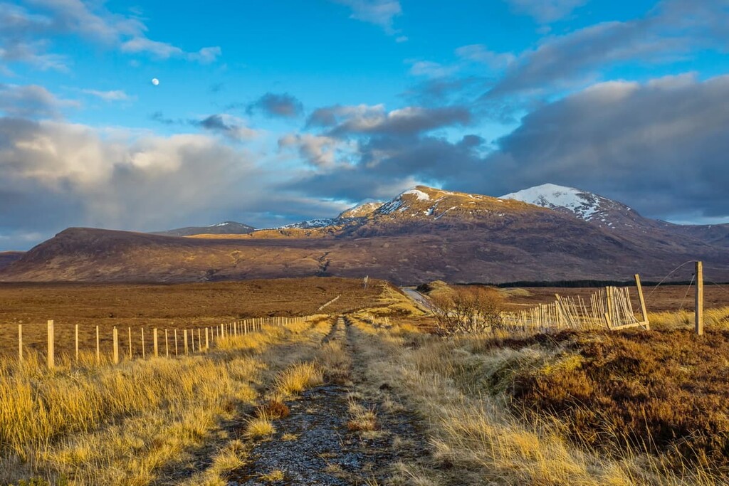 Fannich Forest on the west coast of Scotland, Northwest Highlands, Scotland