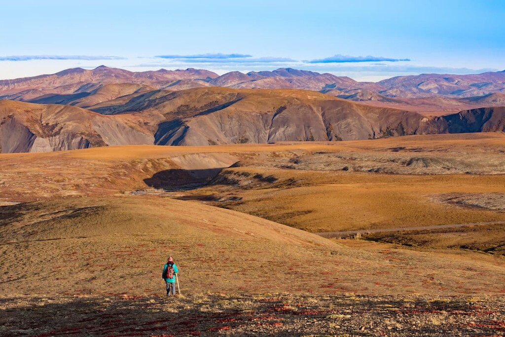 alpine arctic tundra of Richardson Mountains, Northwest Territories, Canada