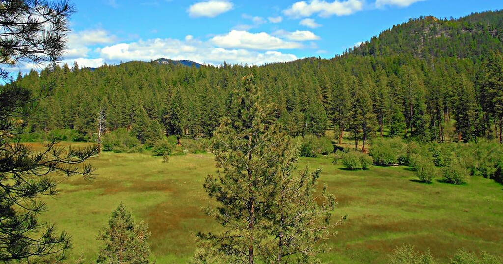 Ochoco Mountains