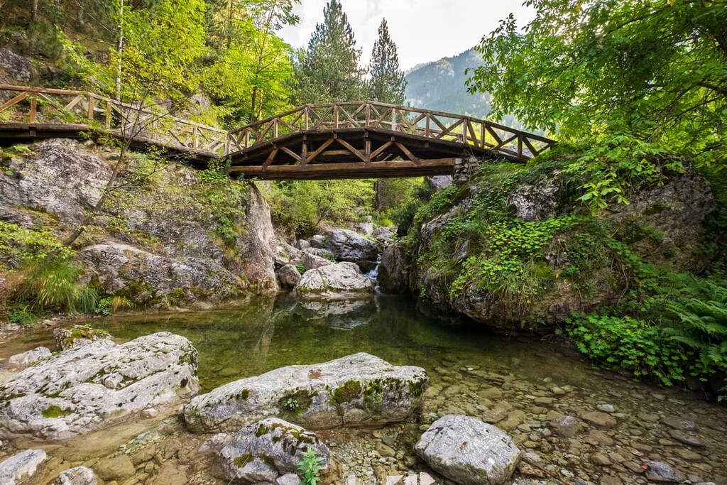Wooden bridge over a river in the mountains of Olympus, Prionia, Olympus National Park, Greece