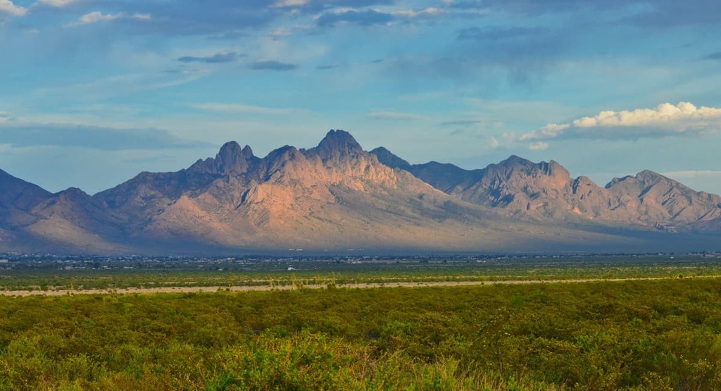 Organ Needles Wilderness Study Area, New Mexico