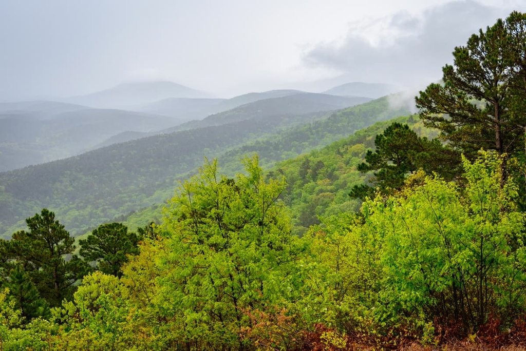  Ouachita Mountains, Arkansas
