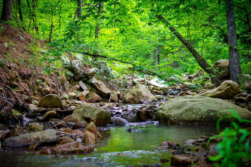  Ouachita Mountains, Arkansas