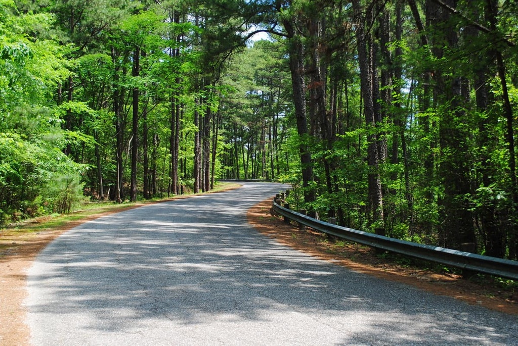 Hot Springs Wilderness, Ouachita Mountains, Arkansas