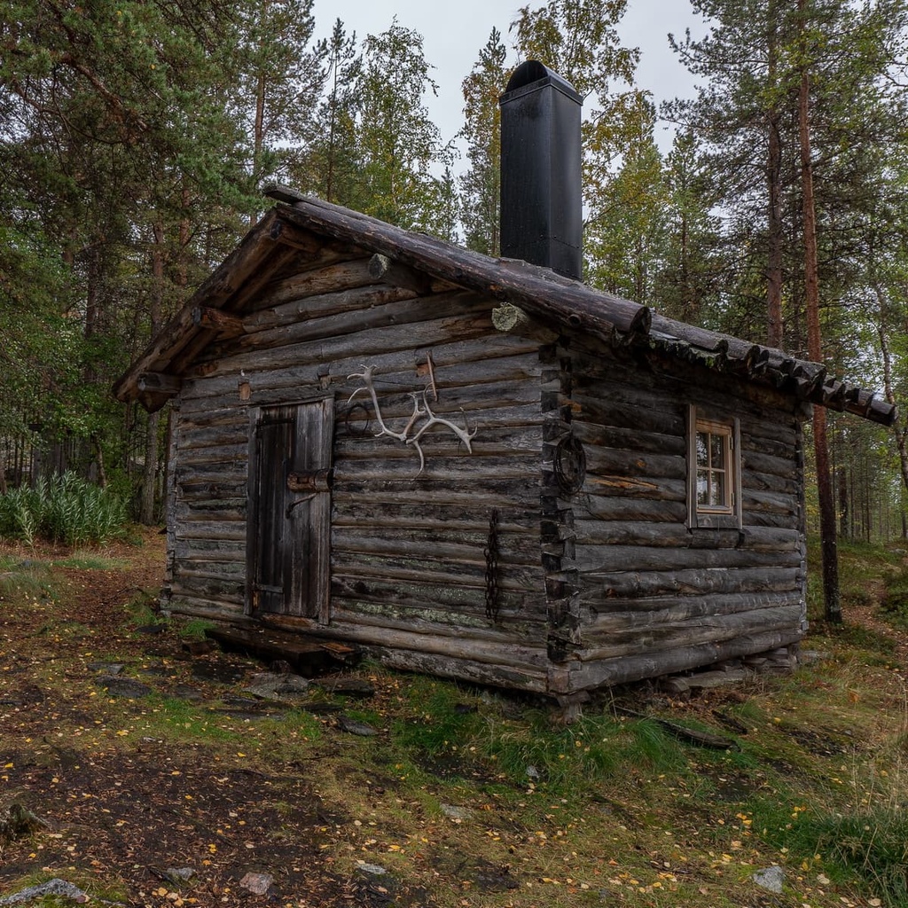 Øvre Pasvik National Park, Norway