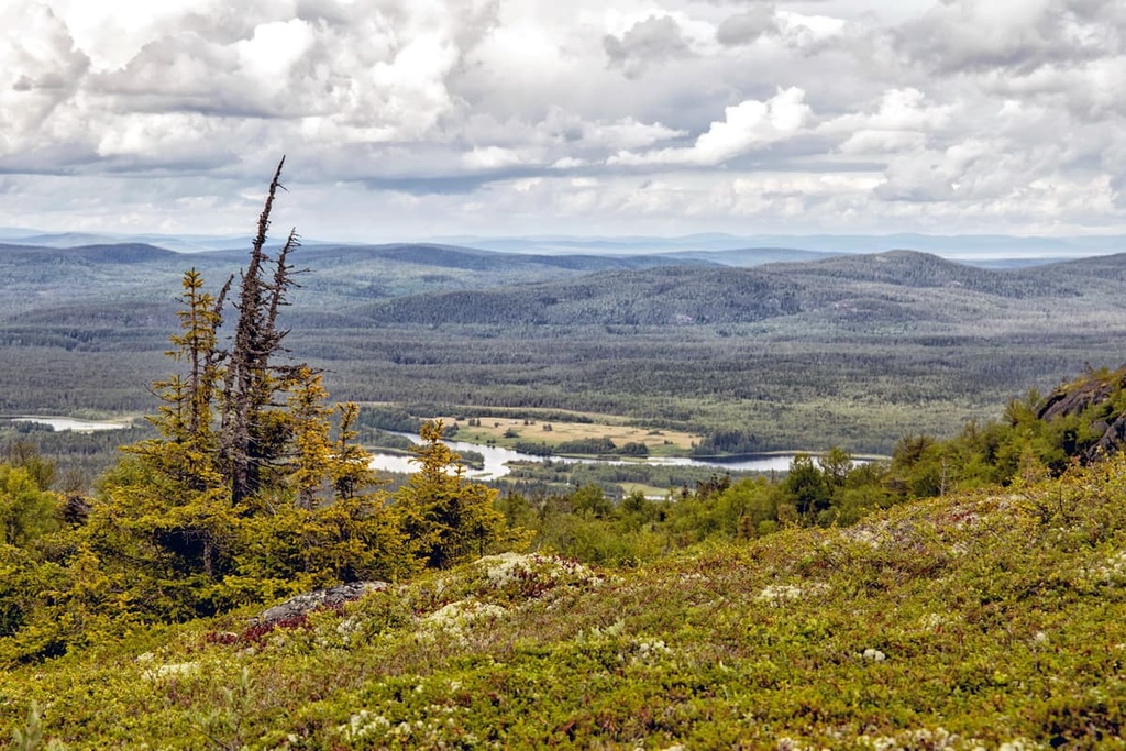 Paanajärvi National Park