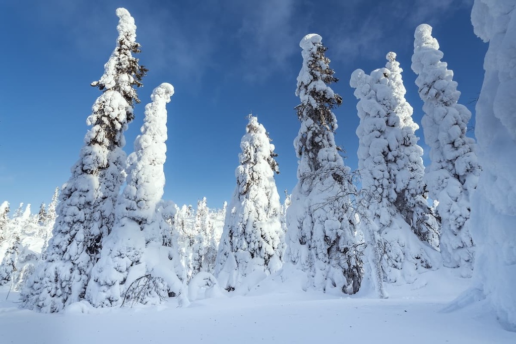 Paanajärvi National Park, Russia