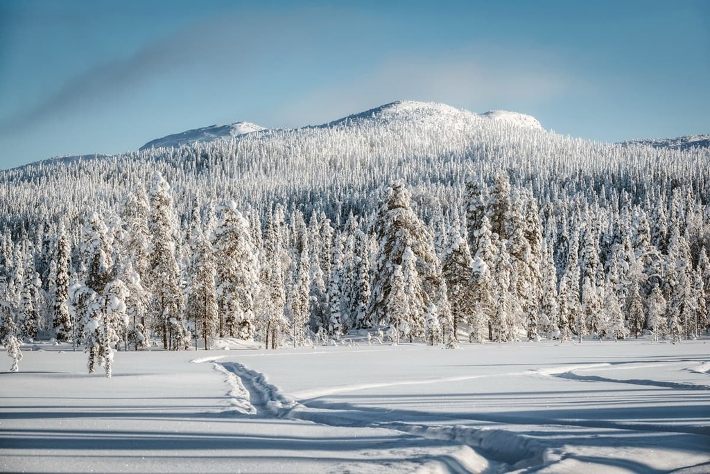 Paanajärvi National Park, Russia