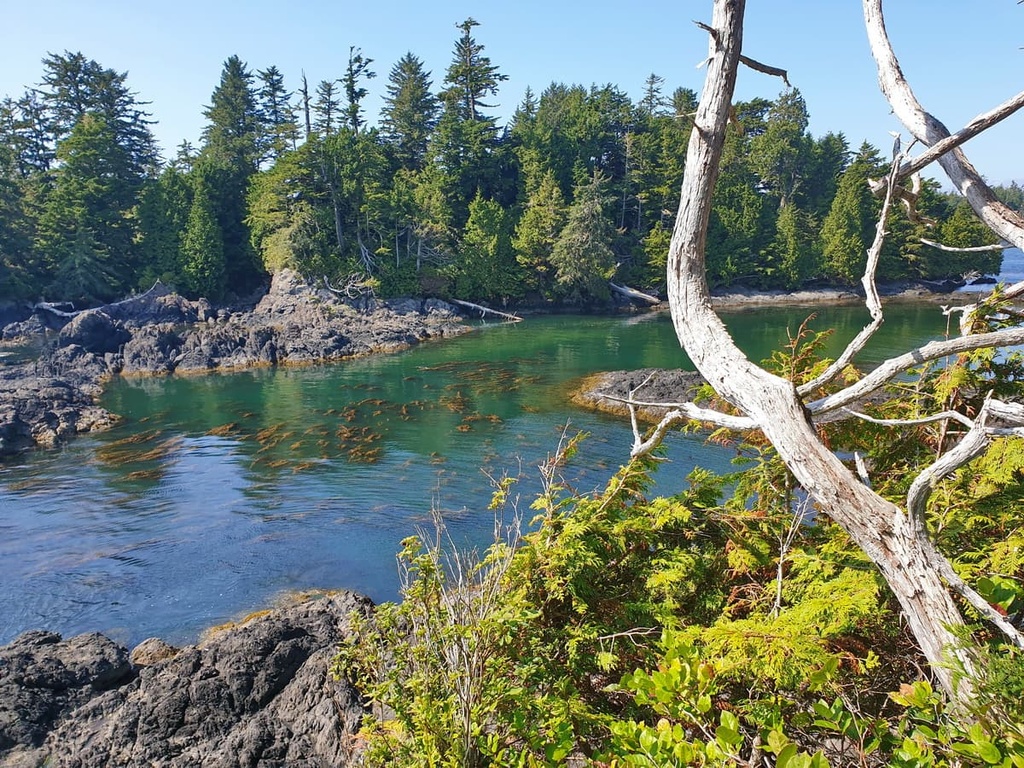 Pacific Rim National Park Reserve - West Coast Trail Unit