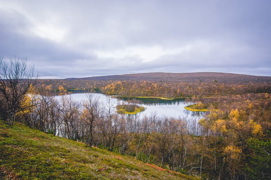 Kevo Nature Reserve, Paistunturi Wilderness Area, Lapland, Finland
