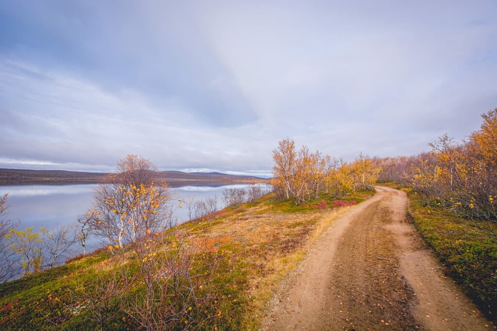 Kevo Strict Nature Reserve, Paistunturi Wilderness Area, Lapland, Finland