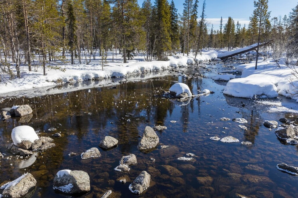 Springtime, Pallas—Yllästunturi National Park