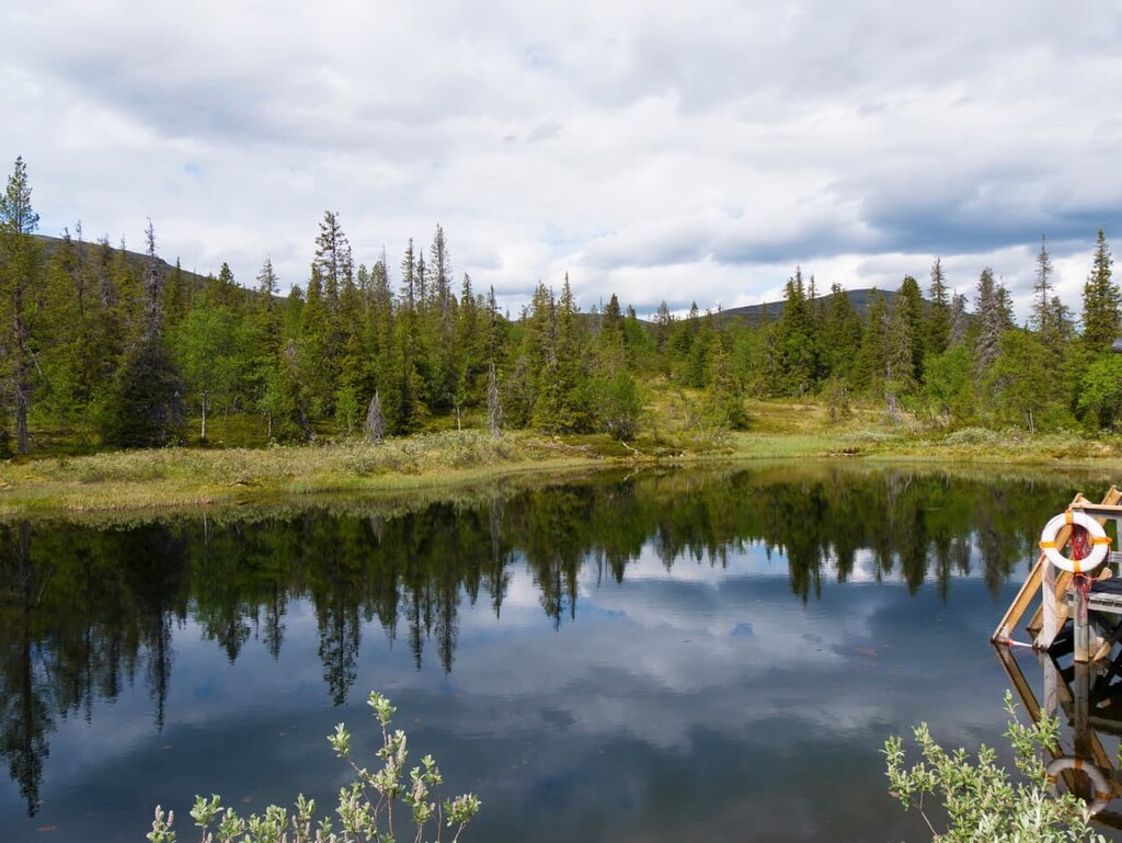 Pallas—Yllästunturi National Park