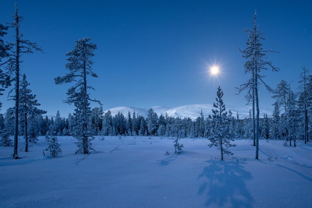 Pallas-yllästunturi National Park