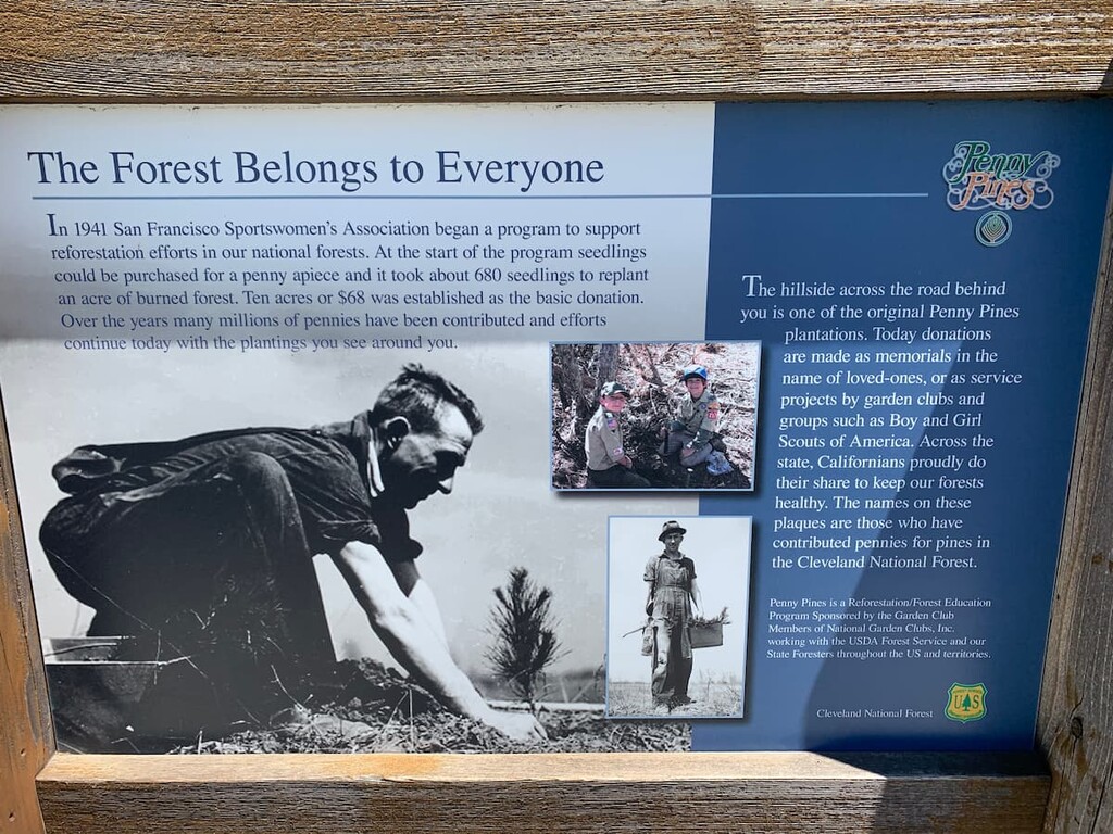 Palomar Mountain State Park, California