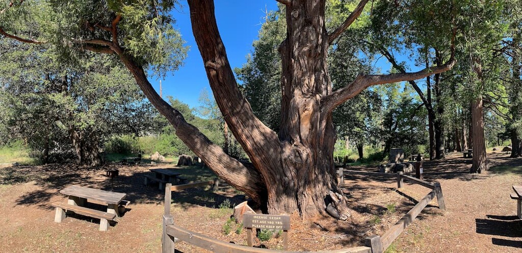 Palomar Mountain State Park, California