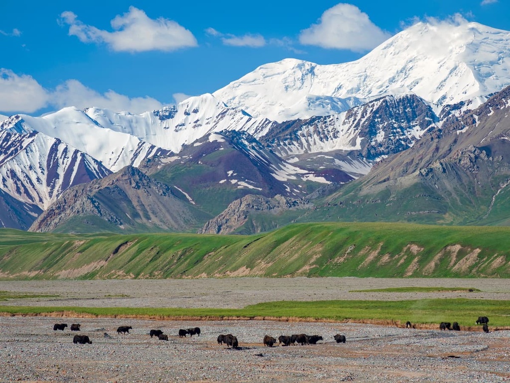 Kyrgyzstan, Alai Range, Pamir-Alai System