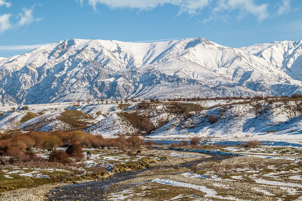 Turkestan Range, Pamir-Alai System